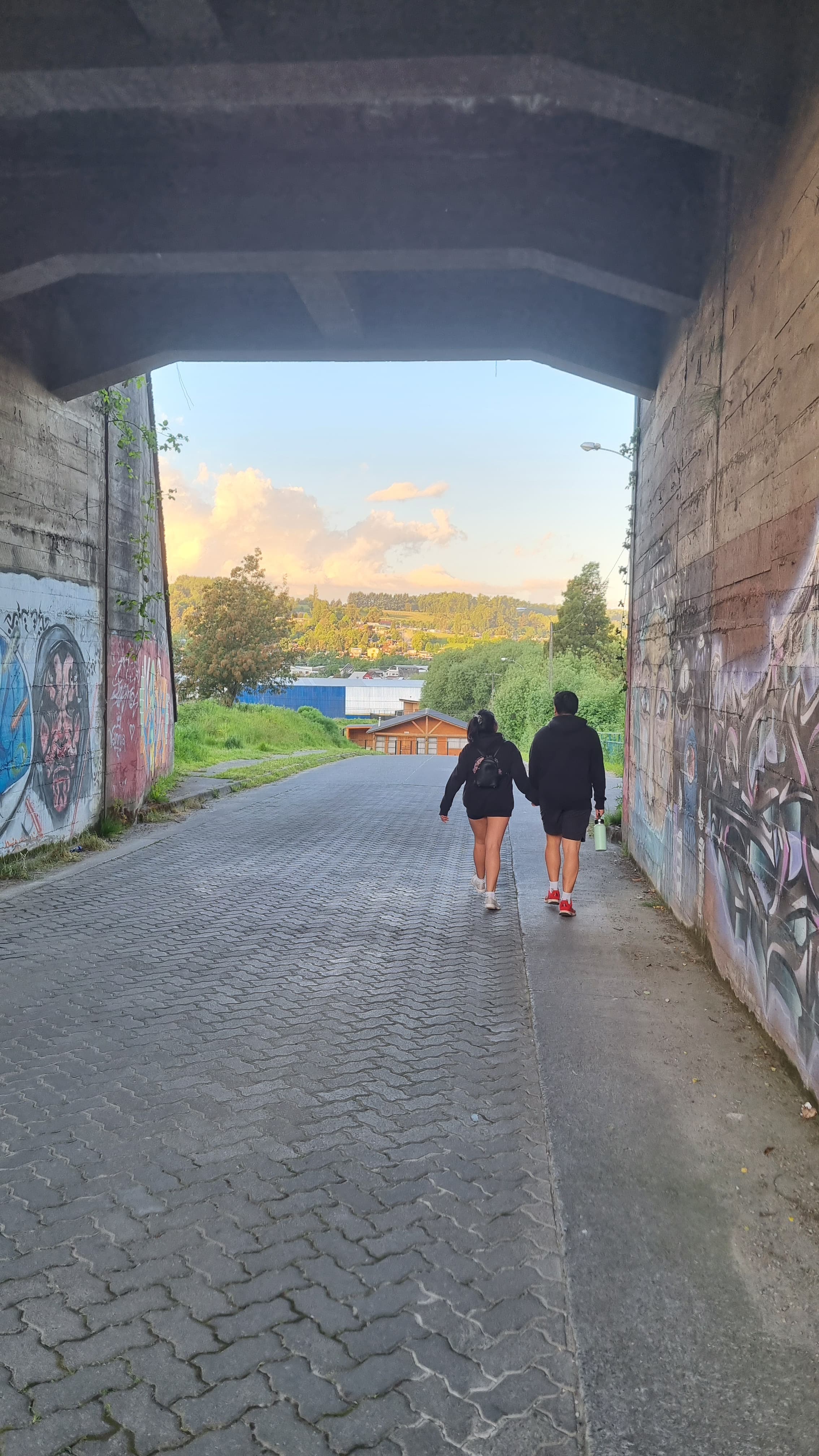 Imágenes del servicio de Tour por la Ciudad y Alrededores en Panguipulli, imagen 4