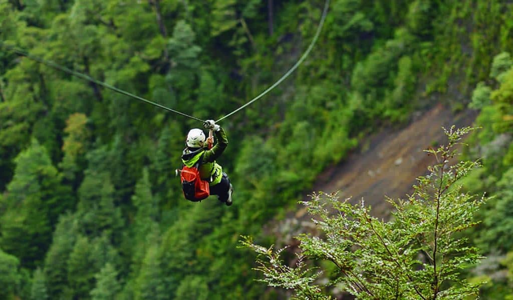 Imagen del servicio Canopy: Fly Over the Heart of the Forest!
